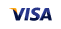 visa card